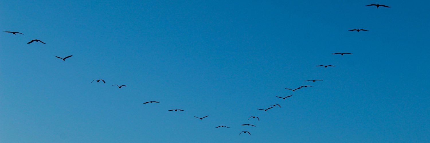 AdriArmstrong's profile banner image
