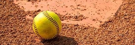 Wichita East High School Softball banner