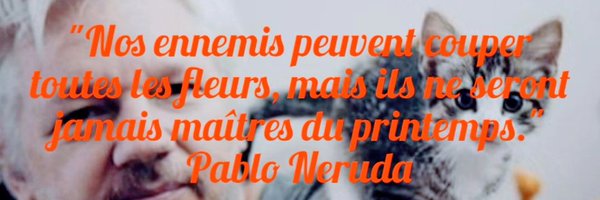 Neruda57 Profile Banner