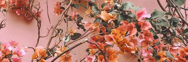 MariMoon ☀️🌈💕🍃🌙🇧🇷 banner