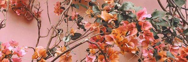 MariMoon Profile Banner