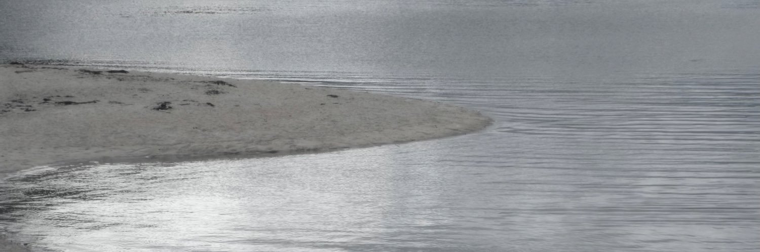 𝖤𝗅 banner