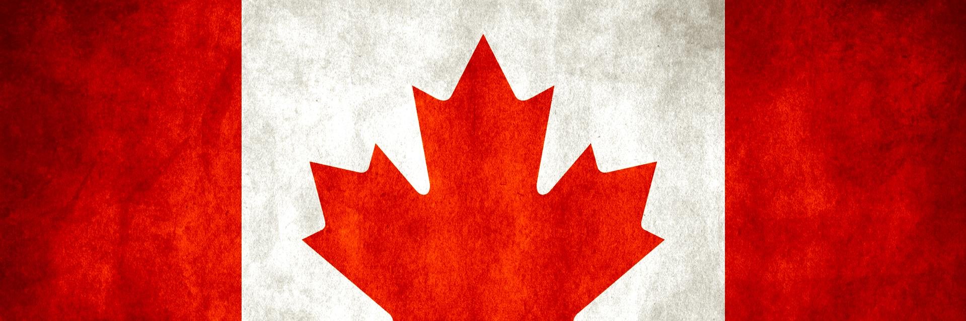 MTapester's profile banner image