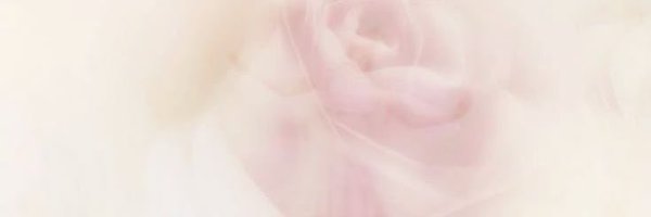 sehunitb Profile Banner