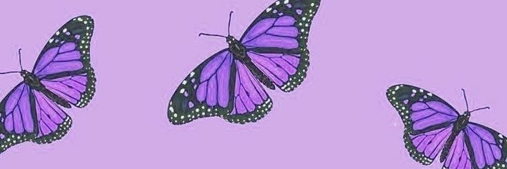 lia12309's profile banner image