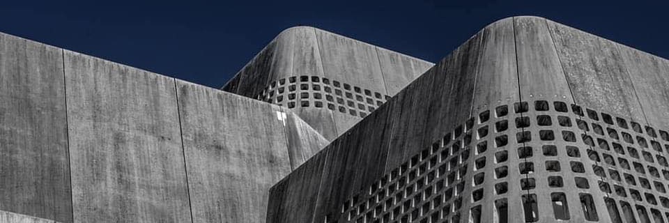 🦝Cate Meredith banner