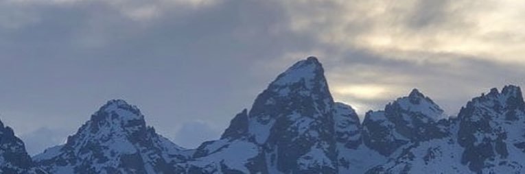 gillo birillo banner