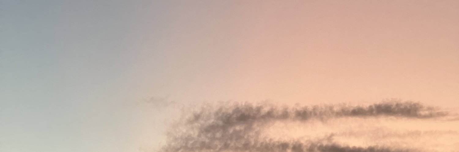 justzfg's profile banner image