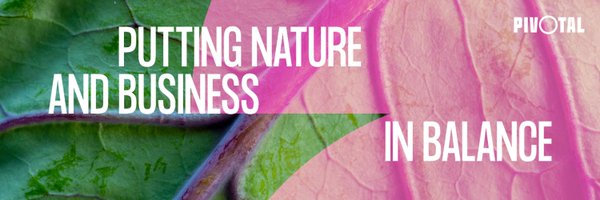 pivotalfuture Profile Banner