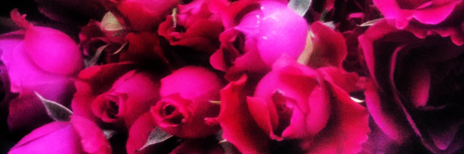 laceyeasthouse's profile banner image