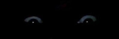 andrewandrewas's profile banner image