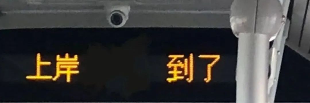 xiaoshane9's profile banner image