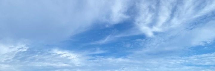 zinhohal's profile banner image