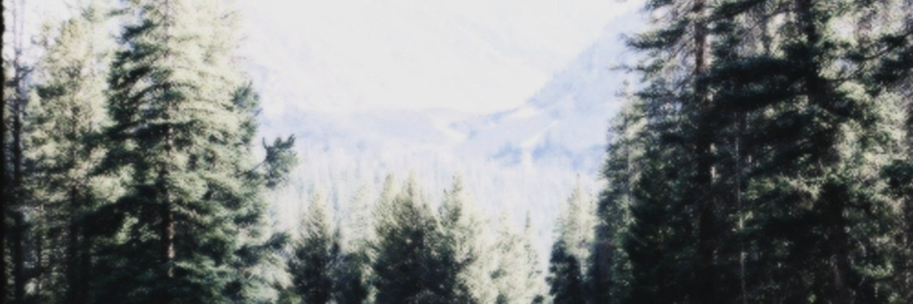 leoprdik's profile banner image