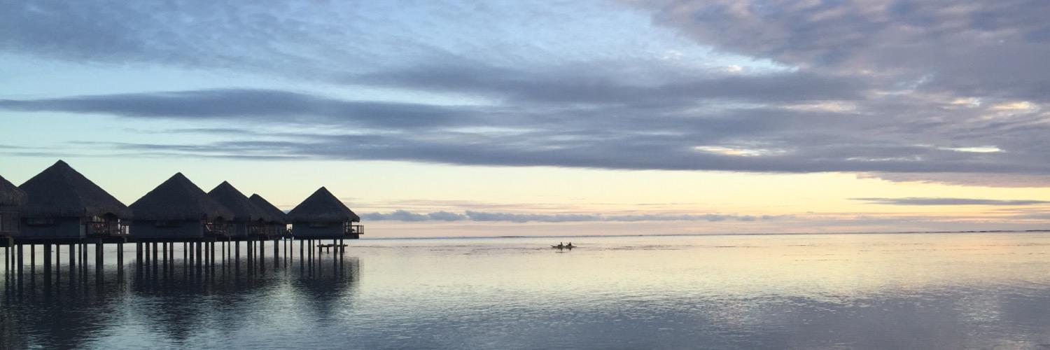 Luanne Tierney banner