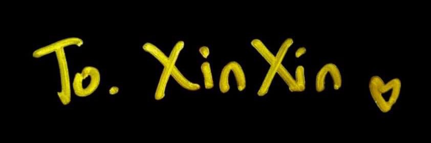 lin_xinxin_'s profile banner image