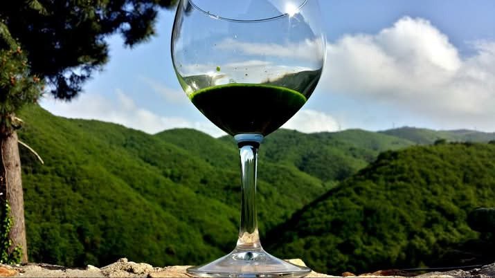 Jonathan du Tarn banner