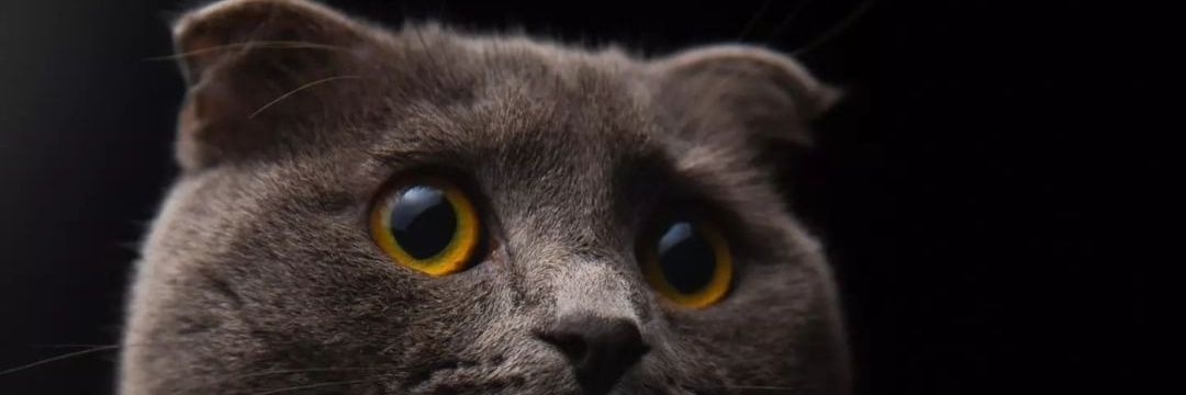 Aslijk3's profile banner image