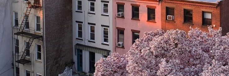 Eva Lovi 🌹 banner