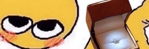 nick banner