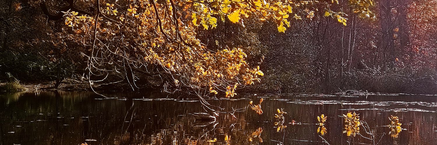 Avik | অভীক banner