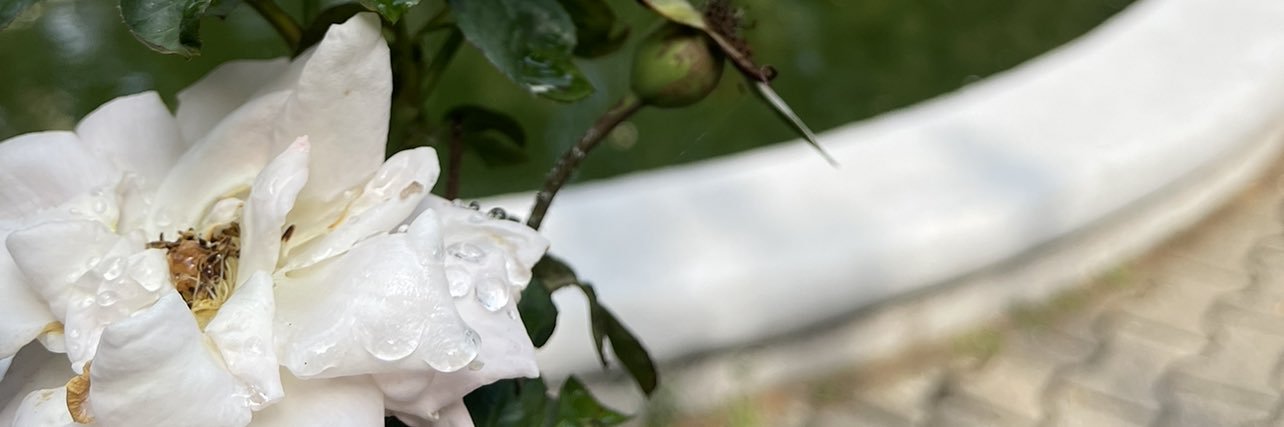 wtr_109's profile banner image