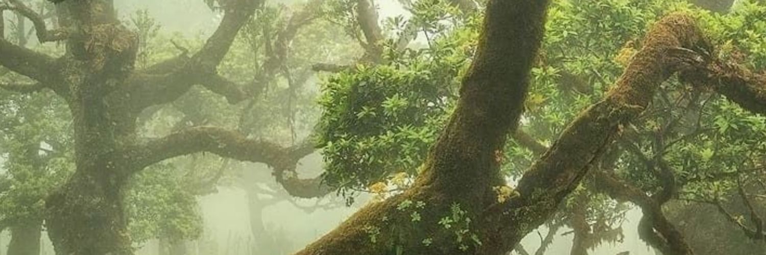 POETforthelakes banner