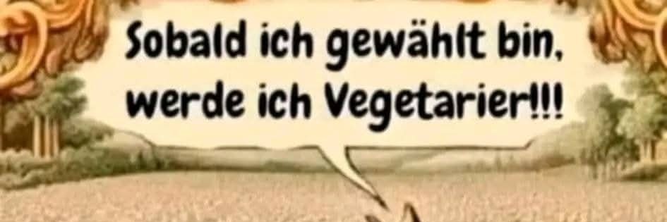 💙💙B.Karolin Sch.💙💙🐕🐕‍🦺🇩🇪🐈‍⬛ 🐀🦅 banner