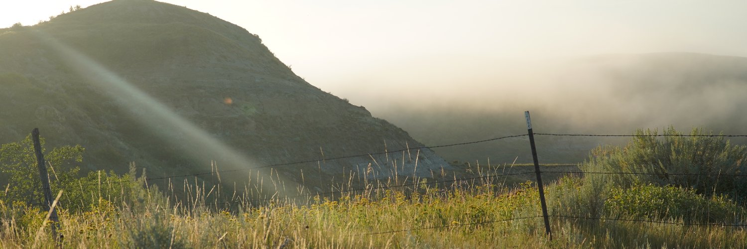 PirrottaSam's profile banner image