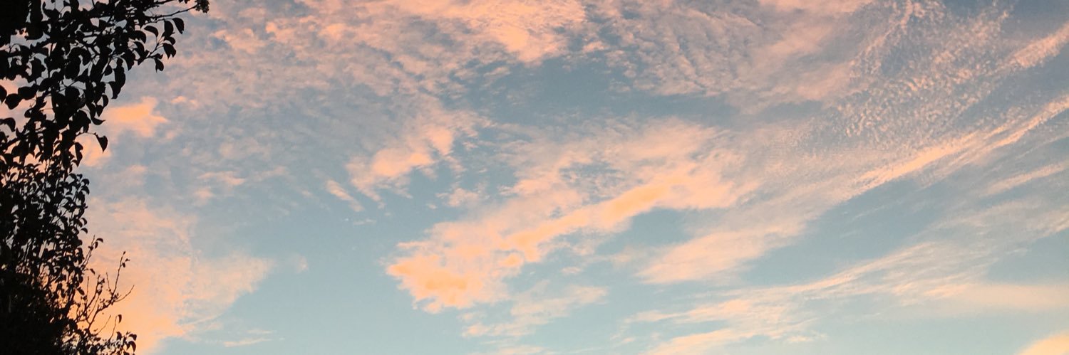 victxriaking's profile banner image
