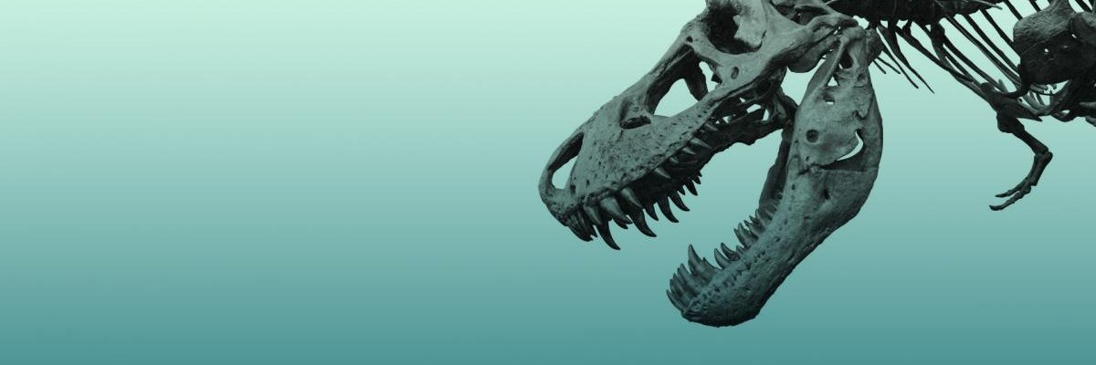 Kenneth Piring banner