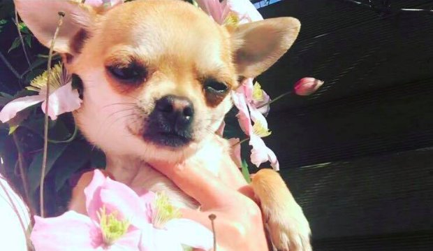 abbyfry_'s profile banner image
