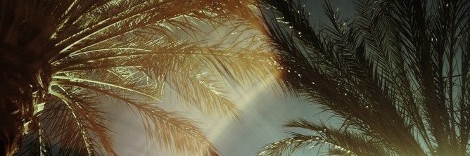 camiestaleyendo's profile banner image