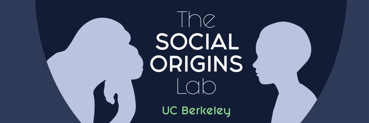 The Social Origins Lab banner
