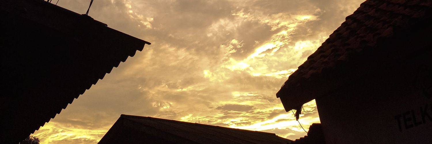 bilafyou's profile banner image