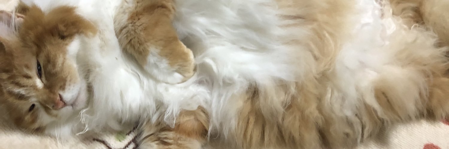 kusukata's profile banner image
