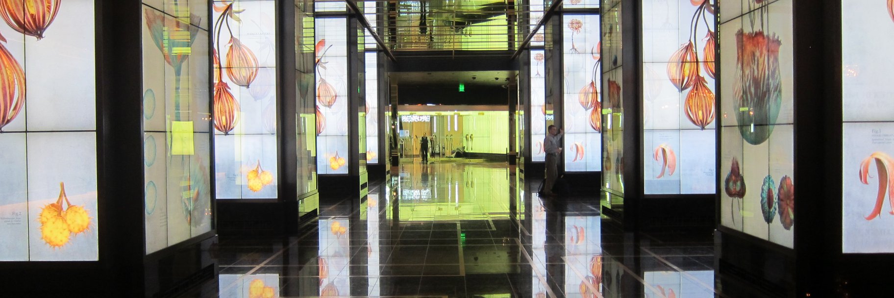 YCD Multimedia banner