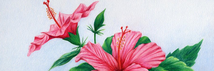 Princesaa_w's profile banner image