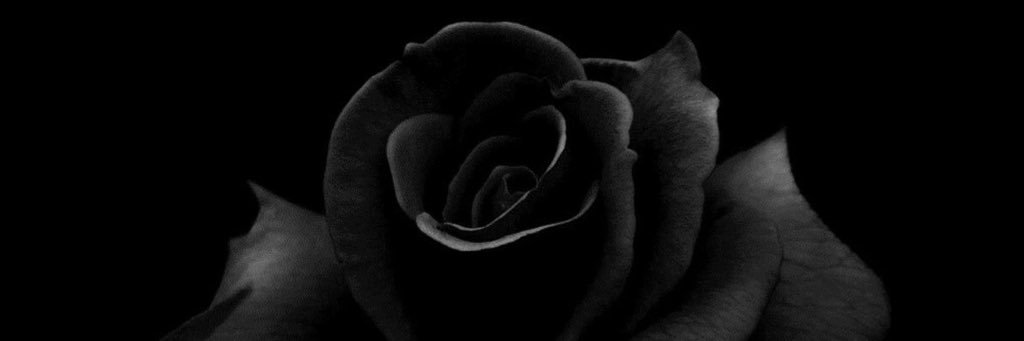 darkfriday99's profile banner image