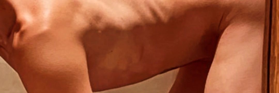 shane banner