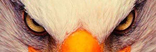 CEOEagleEye Profile Banner