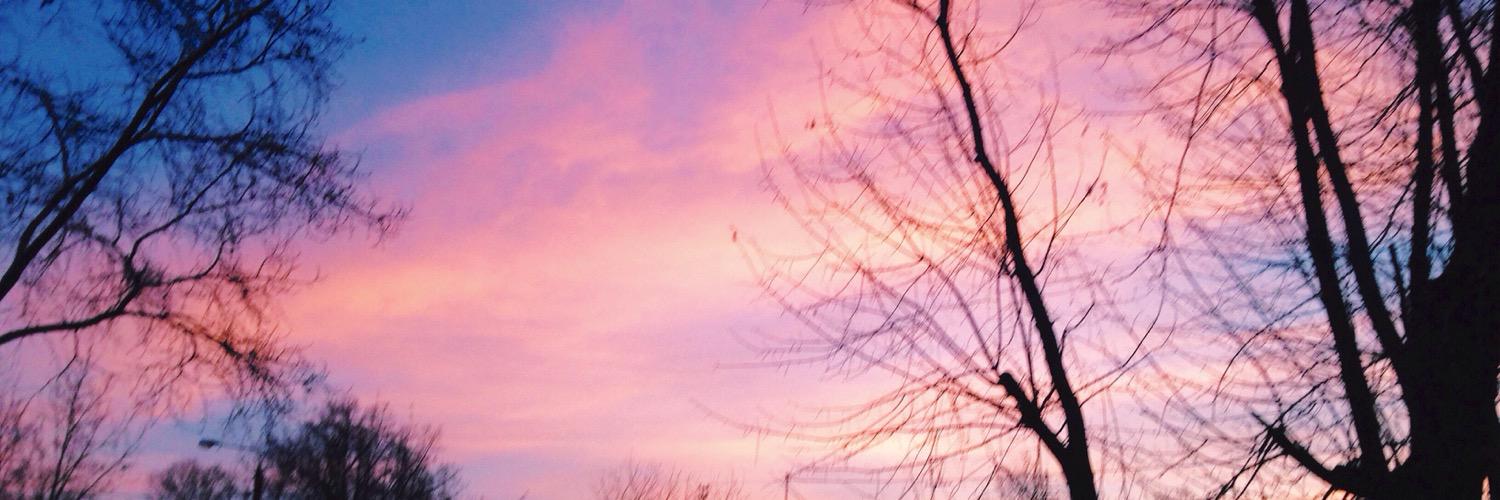 ls_yes's profile banner image