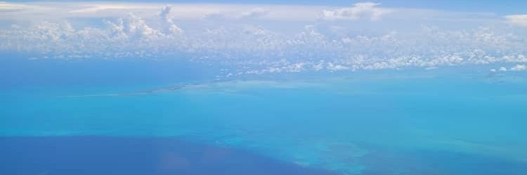 Negocios_Copext's profile banner image