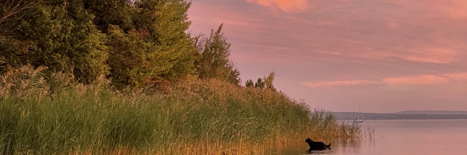 jjjjoof's profile banner image