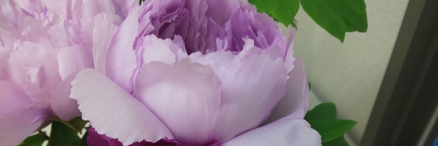 にゃおっく banner