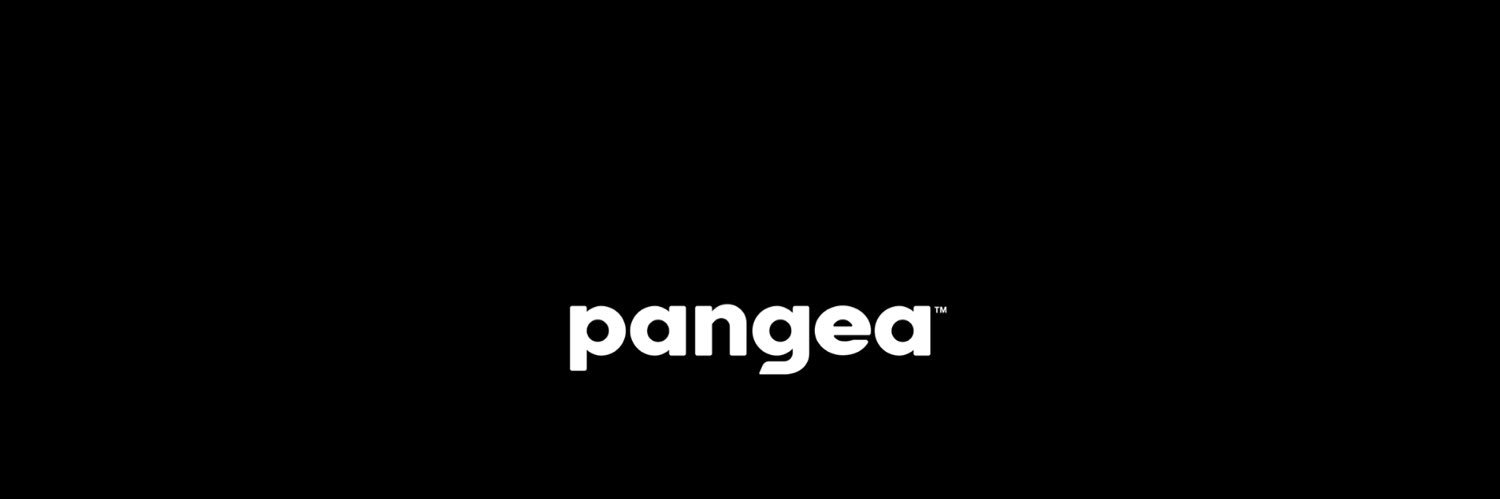 usepangea's profile banner image