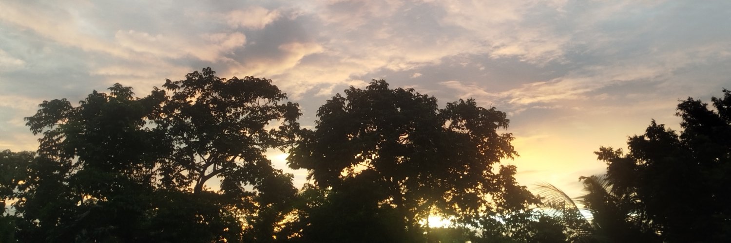 tamimbbz's profile banner image