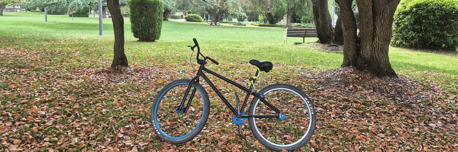 Benjamin Bavea banner