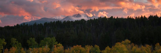 Kurt Petersheim banner