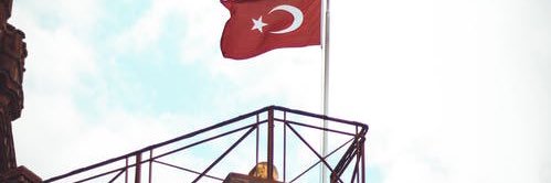 Stanley Aliana banner